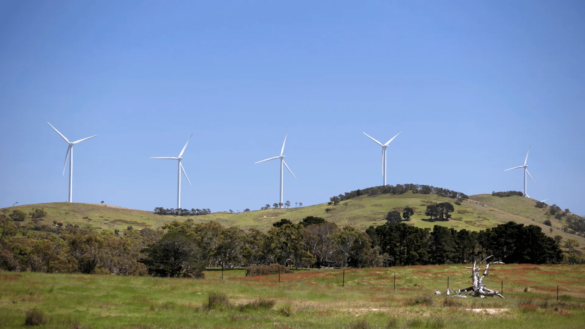 Australian Manufacturing - Wind Turbine