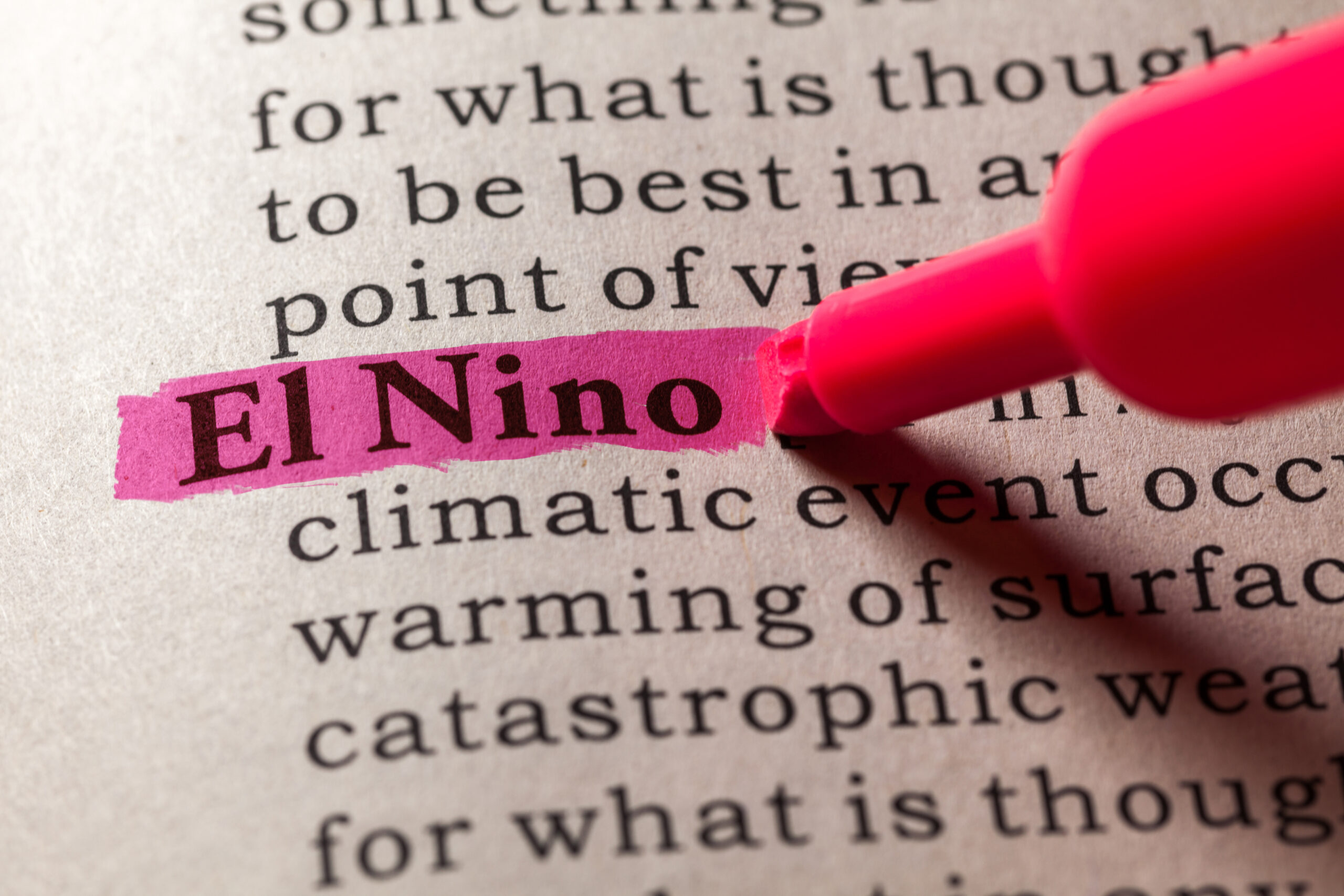 Close-up of a document with the term 'El Niño' highlighted in pink.